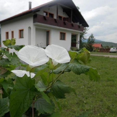 Guesthouse Matija Irinovac Zewnętrze zdjęcie