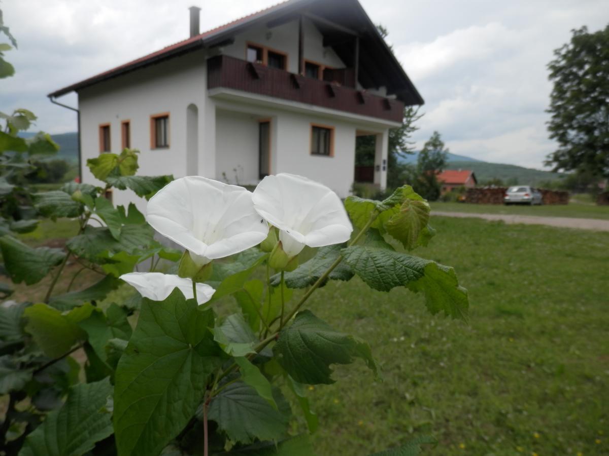 Guesthouse Matija Irinovac Zewnętrze zdjęcie